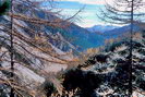 Vallée Étroite - Valle Stretta - Vers l'aval