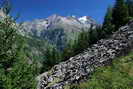 L'Alpe du Pin - Dans la monte, vue sur la Tte des Ftoules (3459 m)