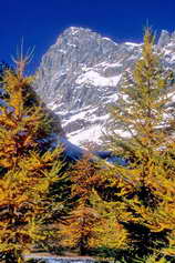 Barre des Écrins (4102 m) - Face sud-est, vue du Pré de Madame Carle