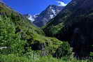 Vallon de la Lavey - Aiguille de l'Olan (3373 m) et Cime du Vallon (3406 m) vues depuis Champhorent