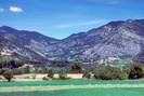 Haute Provence - Haute Blone - Environs de la Javie (vers 800 m)