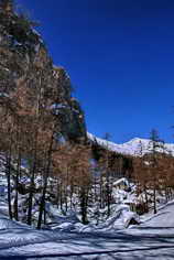 Ski de fond en Vallouise - Puy-Saint-Vincent - La Rochaille