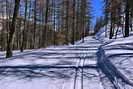 Ski de fond en Vallouise - Puy-Saint-Vincent - Piste des Charbonnires