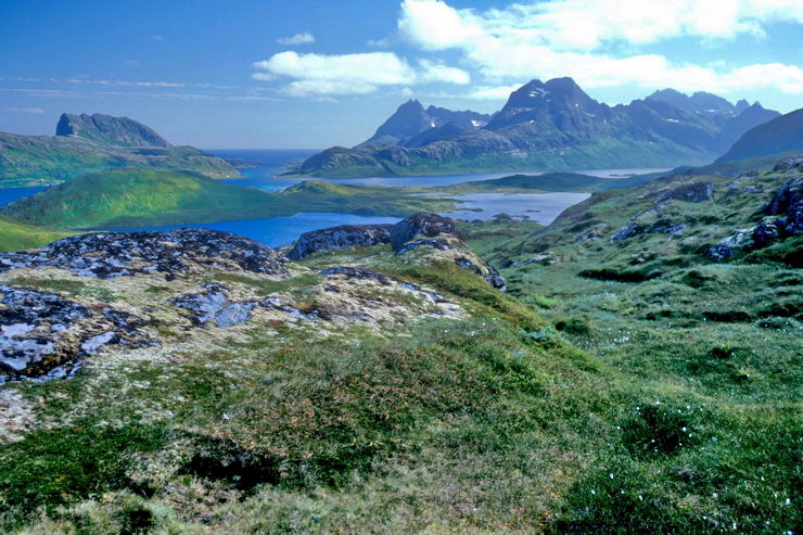 Fredvang - Narvtinden (688 m) au del du Selfjorden