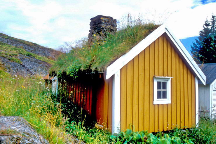Nusfjord - Nesland - Vieille maison