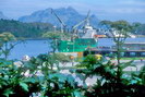 Bodø - Le port