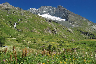 Haute Maurienne - La Bessanese ou Bessanèse (3592 m)