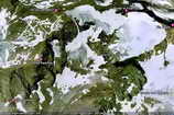 Massif des Grandes Rousses - Glacier du Grand Sablat