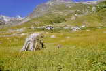 Oisans - Vallée de l'Eau d'Olle - Rieu Claret en Savoie