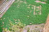 Rame - Site de Rama - Traces de structures enterrées vues de la Poua