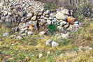 La Roche-de-Rame - Ruines d'un abri-cabane le long du 'castrum'  Maison Mura