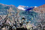 Panorama depuis Champcella - Pic du Béal Traversier (2910 m)